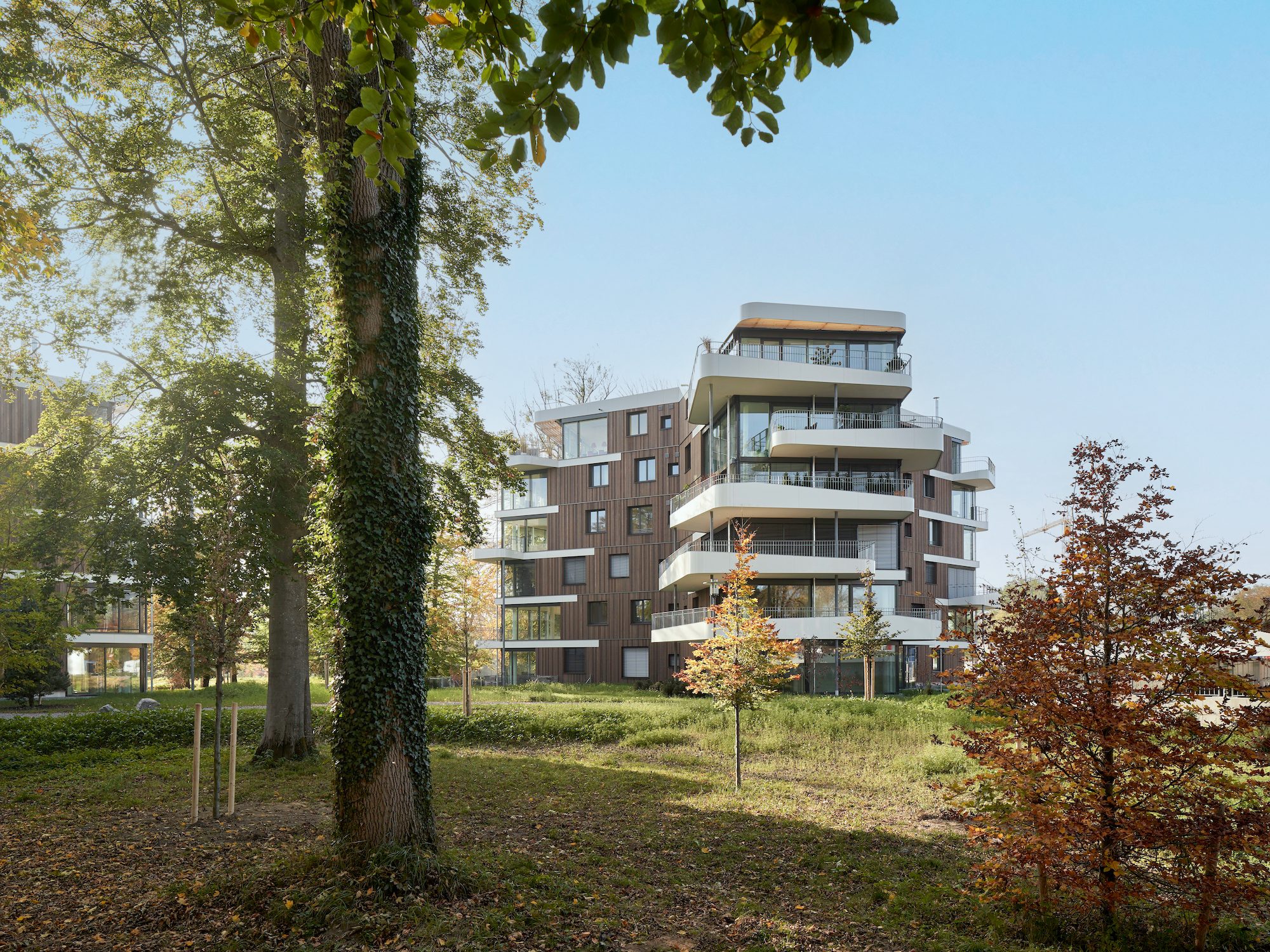 1909526_1931_bearbeitet